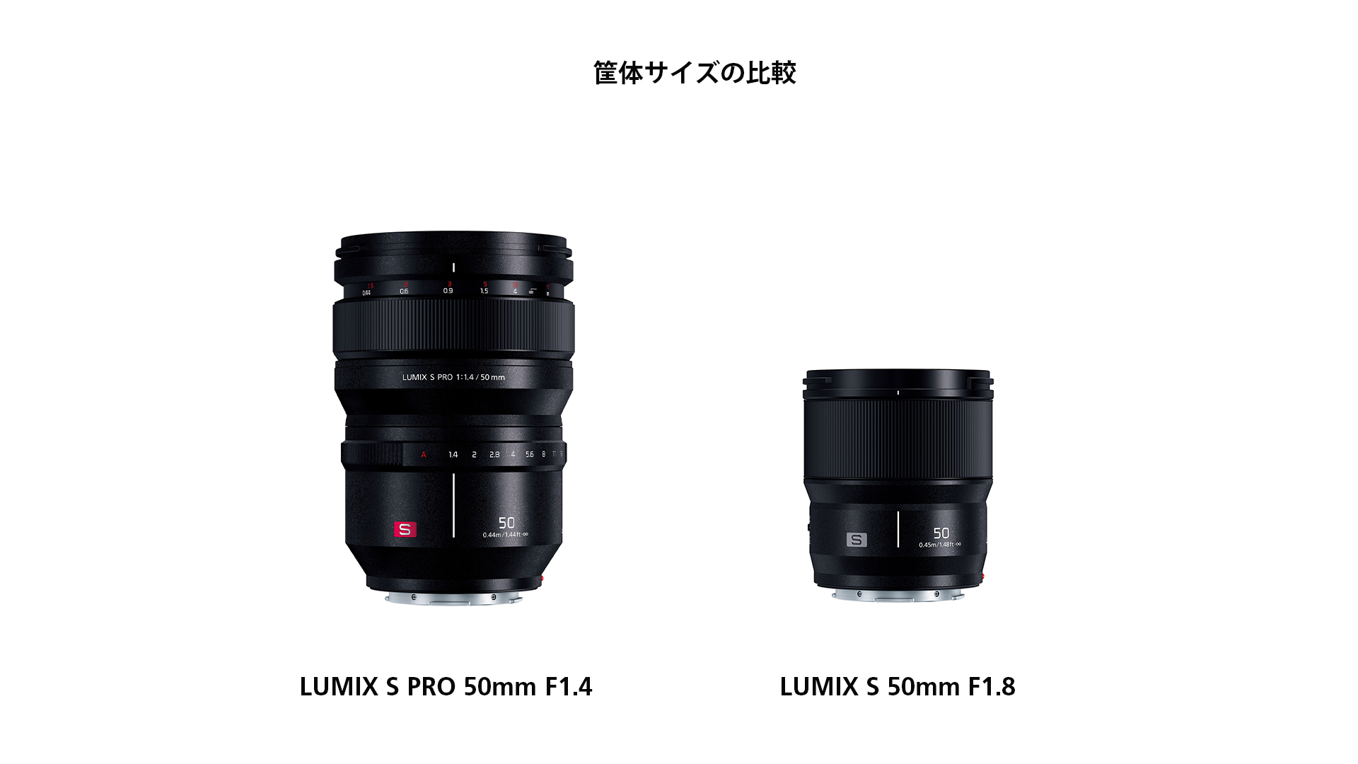 LUMIX S 50mm F1.8 SHOOTING REPORT | orphotograph | ポートレート