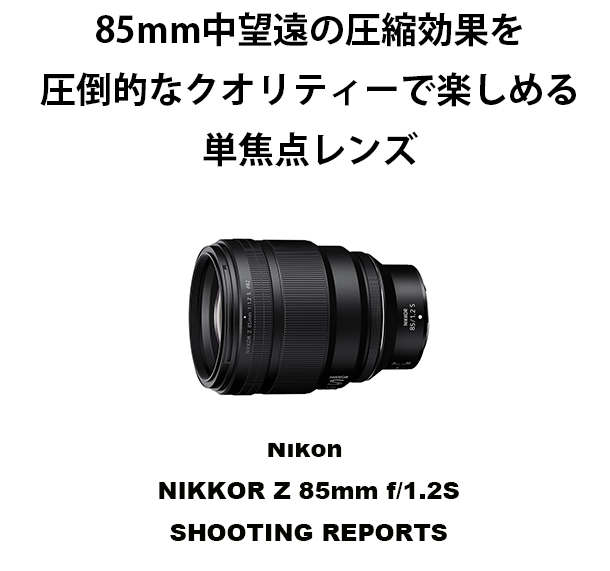 Nikon NIKKOR Z 85mm f/1.2SS HOOTING REPORTS | orphotograph